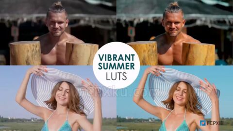 20种充满活力夏季视频调色LUTs预设