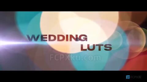 142种婚礼视频调色LUTs预设免费下载