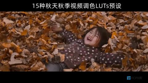 15种秋天秋季视频调色LUTs预设