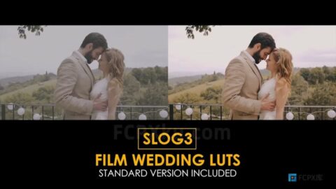 25组索尼Slog3婚礼视频调色LUTs预设