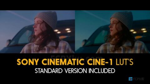 20组索尼Cinematic Cine-1视频调色LUTs预设
