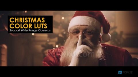 17组圣诞节主题视频调色LUTs预设