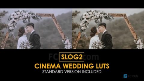 25种Slog2婚礼视频调色LUTs预设