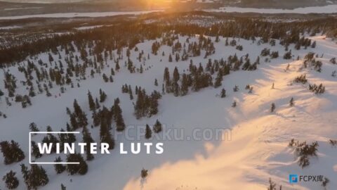 12种冬天季节视频调色LUTs预设
