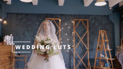 12种婚礼视频调色LUTs预设