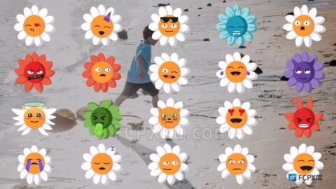 Chamomile Flower Emoji FCPX插件20个洋甘菊花表情包动画符号