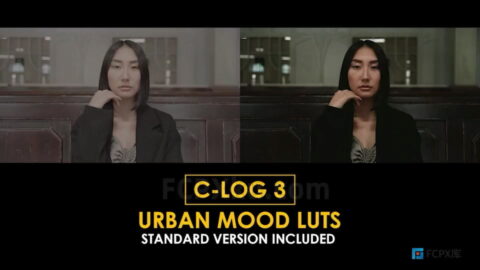 30种C-Log3城市情绪和标准色彩视频调色LUTs预设