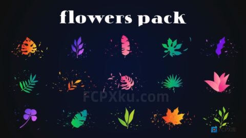 12组生动手绘叶子树叶动画FCPX插件Colorful Flowers Pack