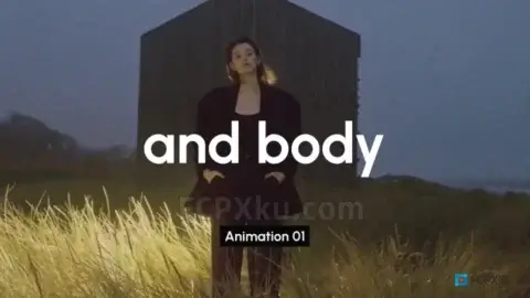 Subtitles FCPX插件5种文字动画字幕